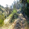 Plants: image 81 Of 208 Thumb